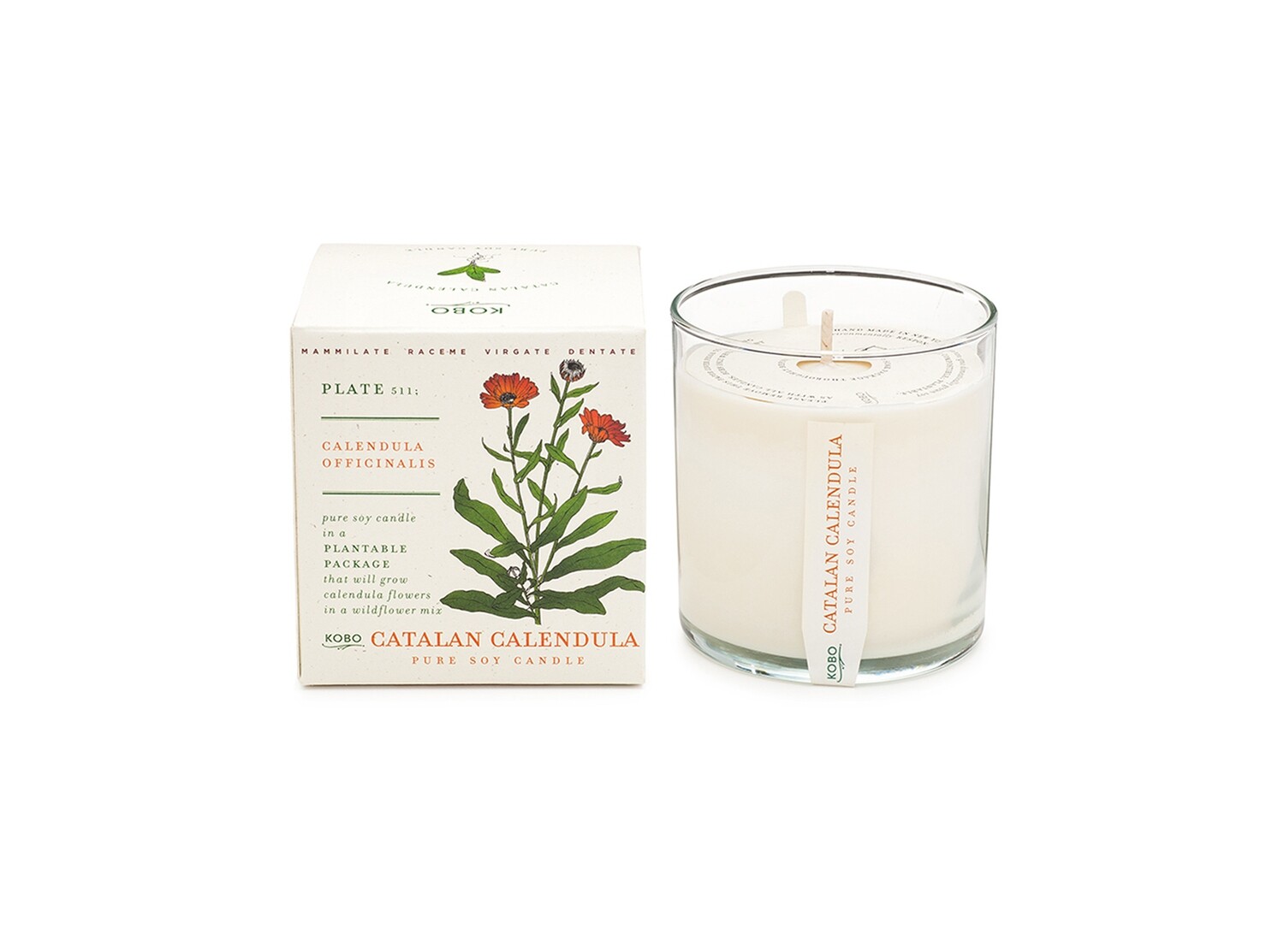 Plant the Box Candle, Scent: Catalan Calendula