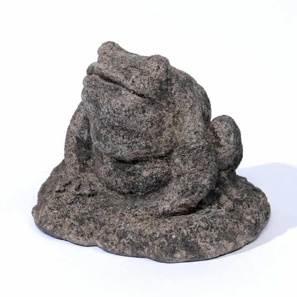 Aged Small Frog