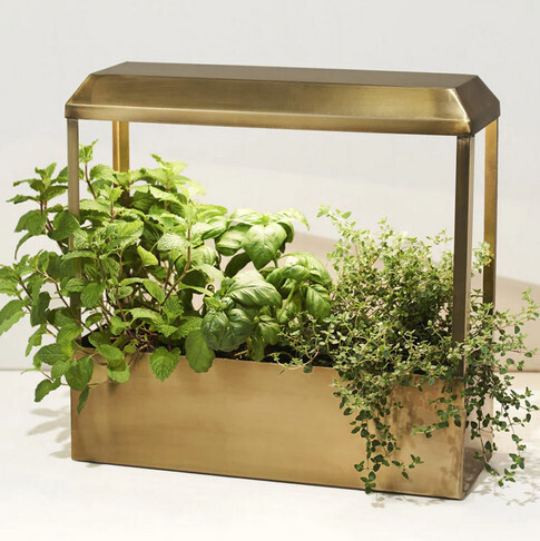 Smart Growhouse, Selection: Brass