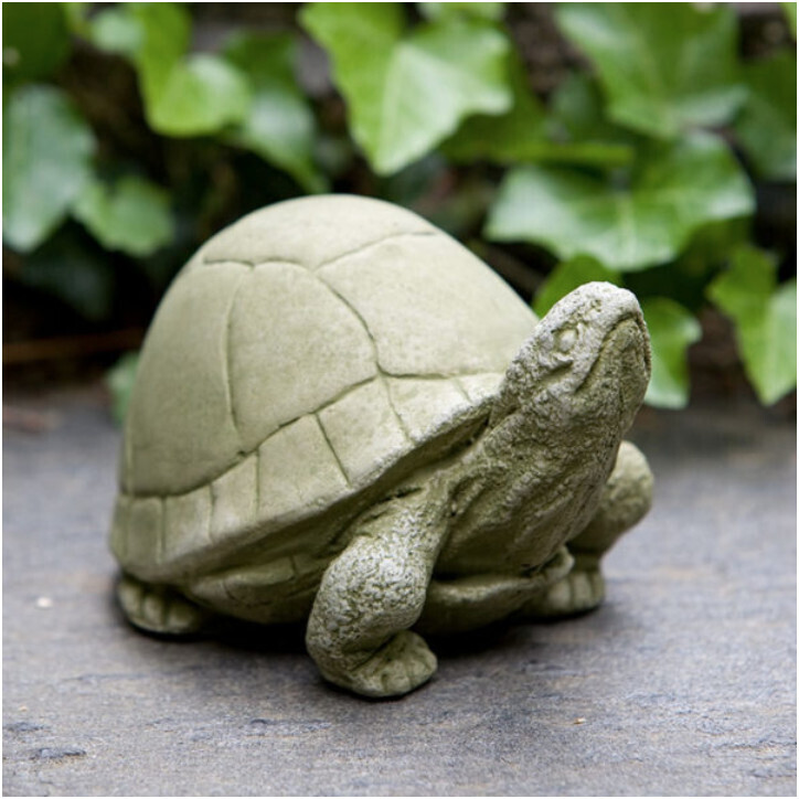 Box Turtle - English Moss
