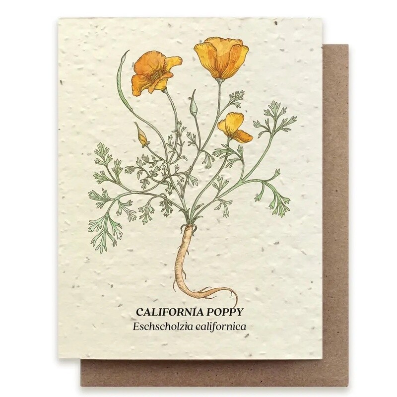 Plantable Wildflower Seed Card