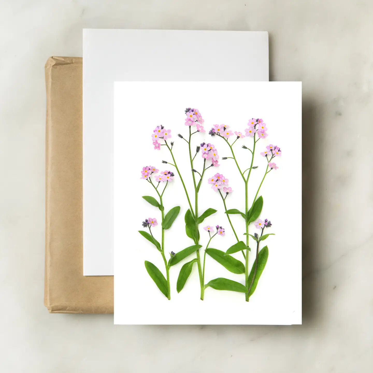Bottle Branch Spring Card
