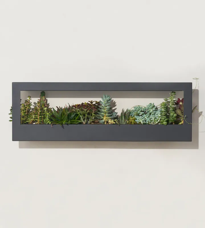 Smart LED Light Landscape Growframe