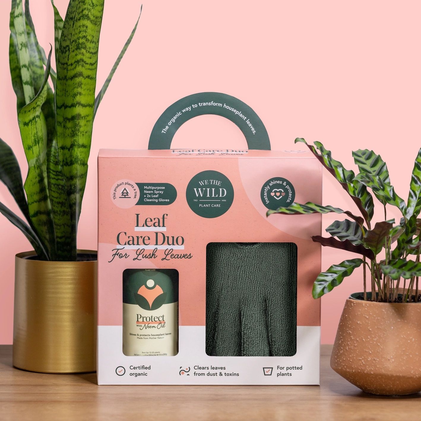 Leaf Care Kit