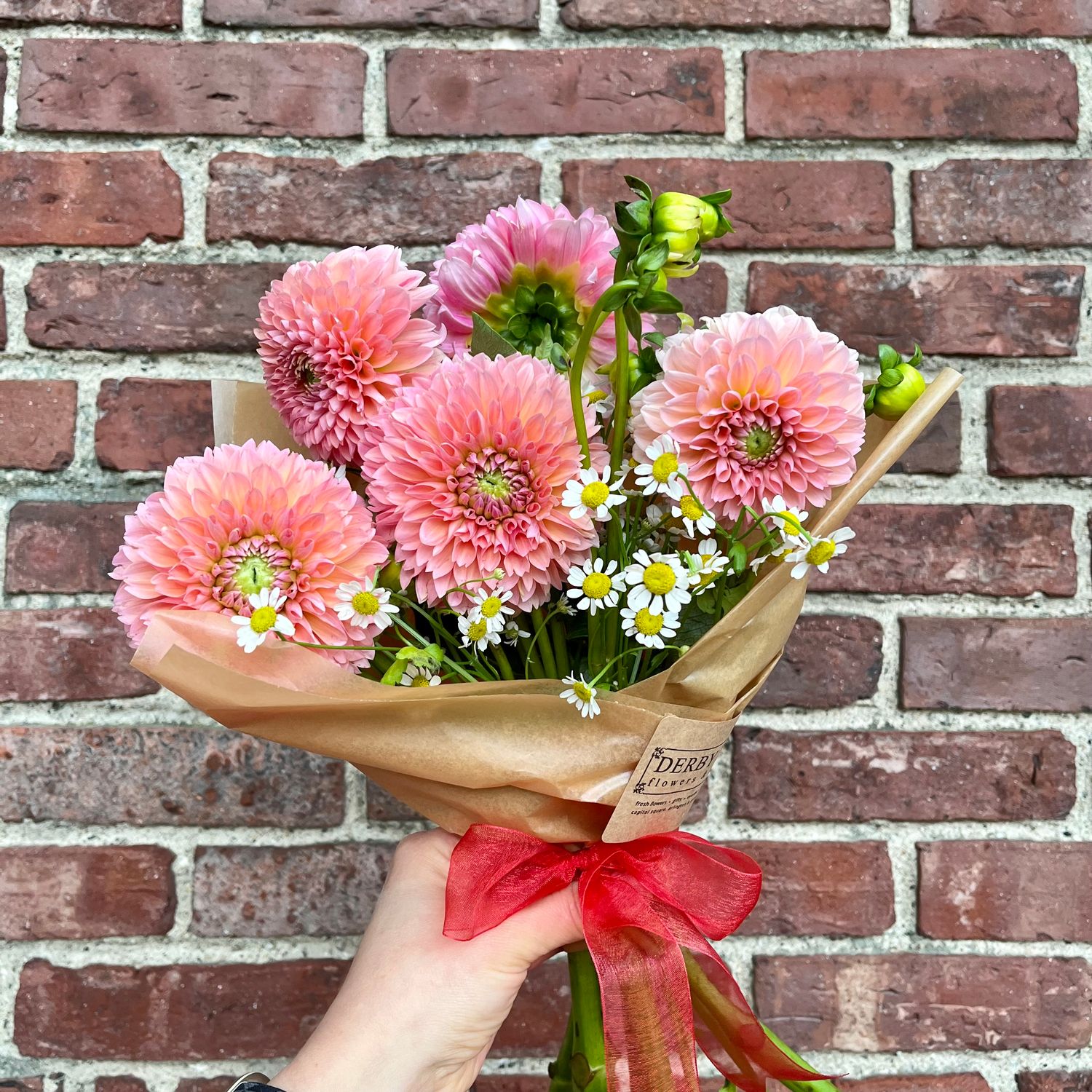 Dahlia Bundle 5-Stems