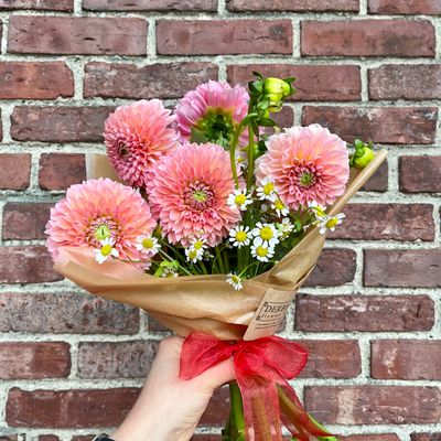 Dahlia Bundle 5-Stems