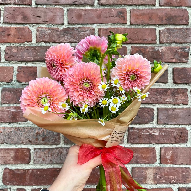 Dahlia Bundle 5-Stems