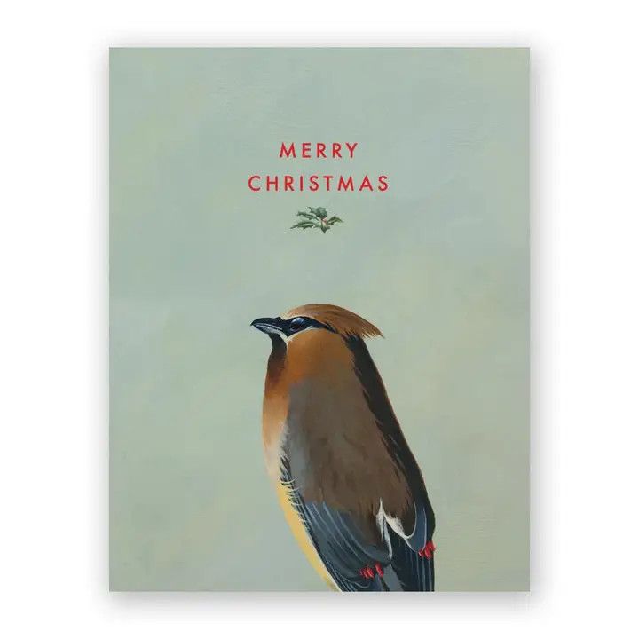 Cedar Waxwing Holiday Card