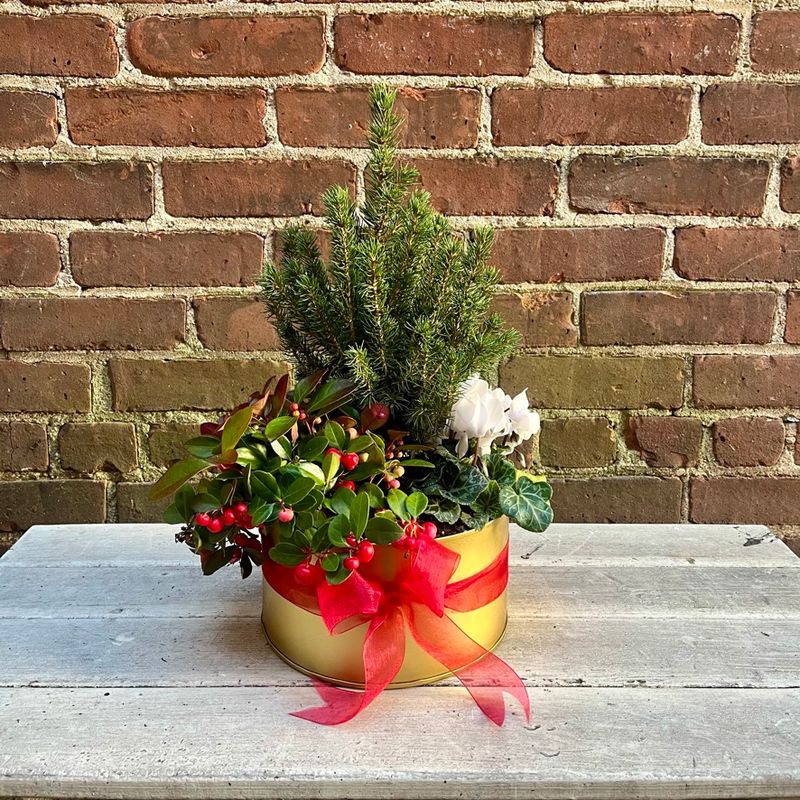 Holiday Planter