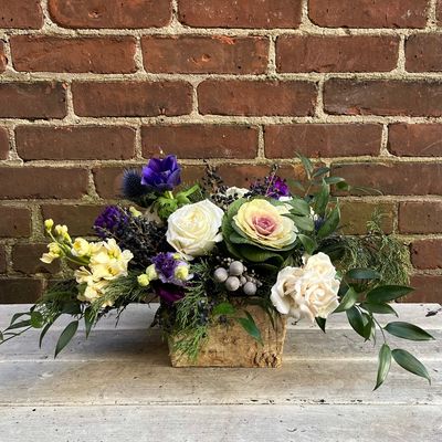 Bountiful Birch Box — Blue Berry