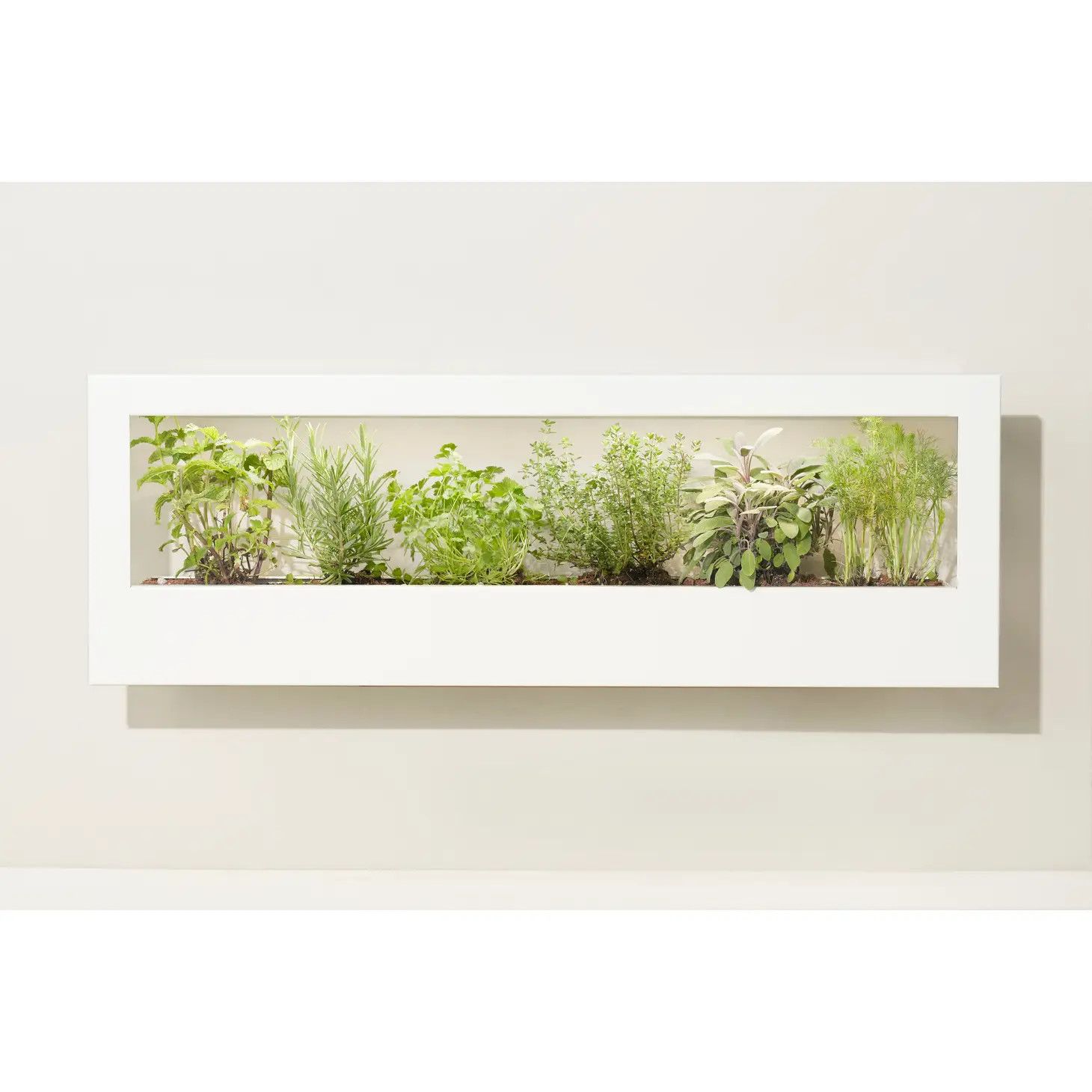 Smart LED Light Landscape Growframe, Color: Matte White