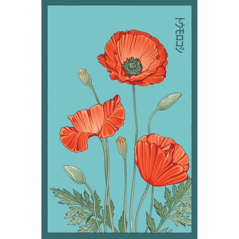 Flower &amp; Herb Seeds