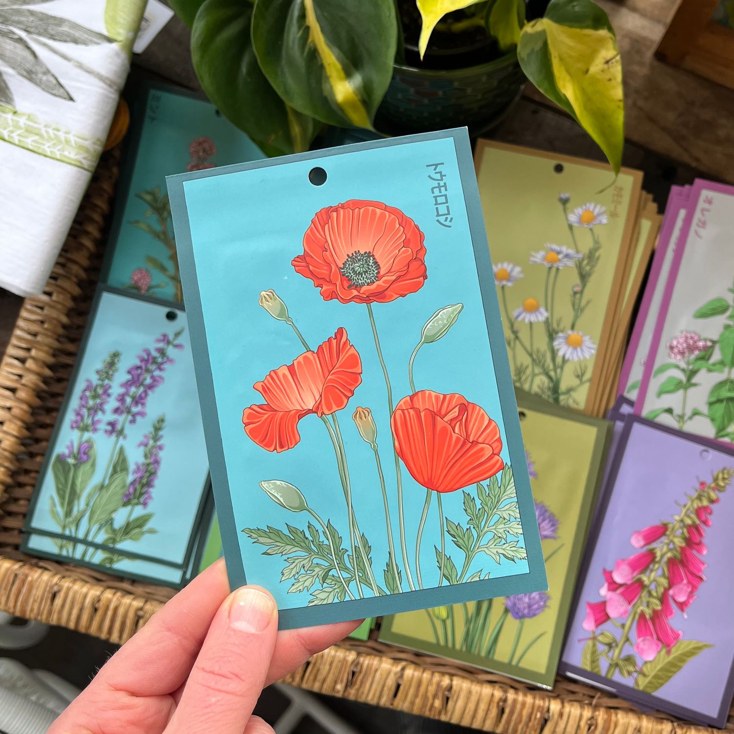 Flower &amp; Herb Seeds