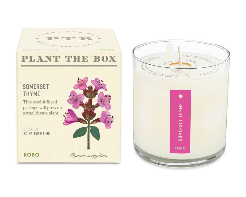 Plant the Box Candle