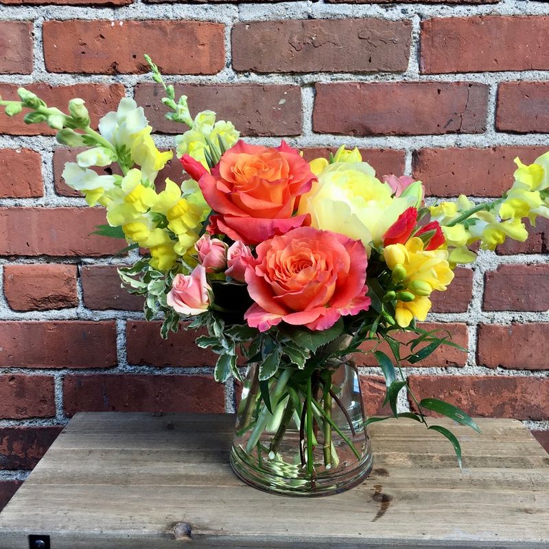 Derby Design Bright