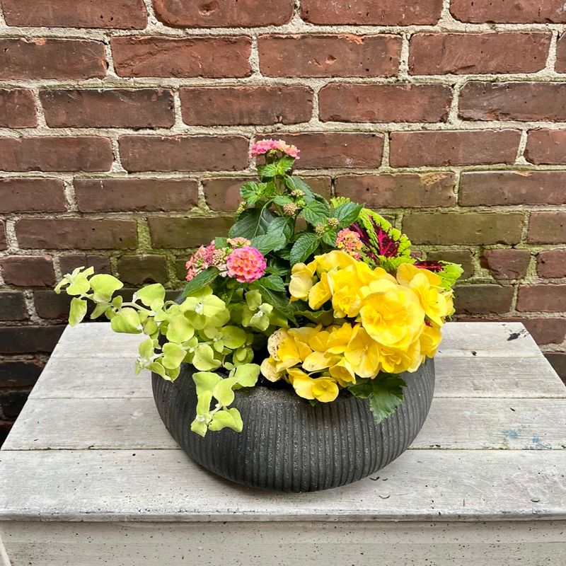 Spring Annuals Planter