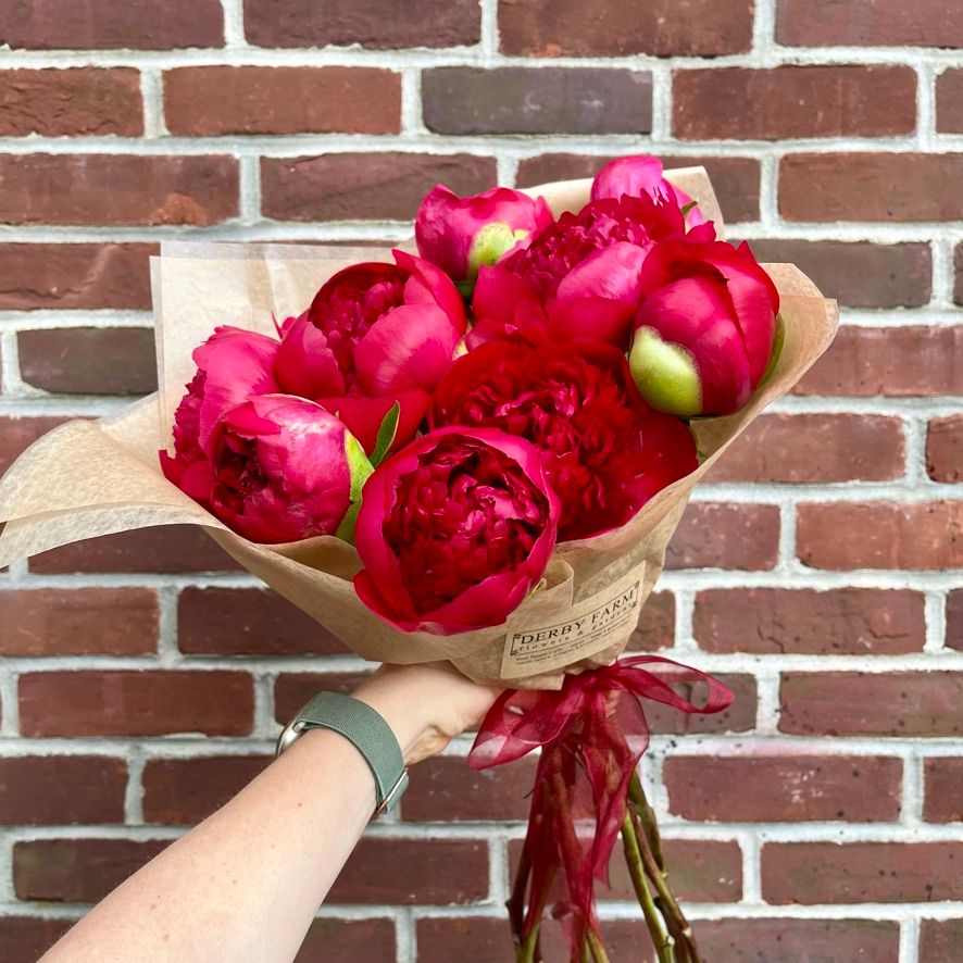 Red Charm Peony Bundle, Size: 10 Stem
