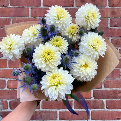 Dahlia Bundle 10-Stems