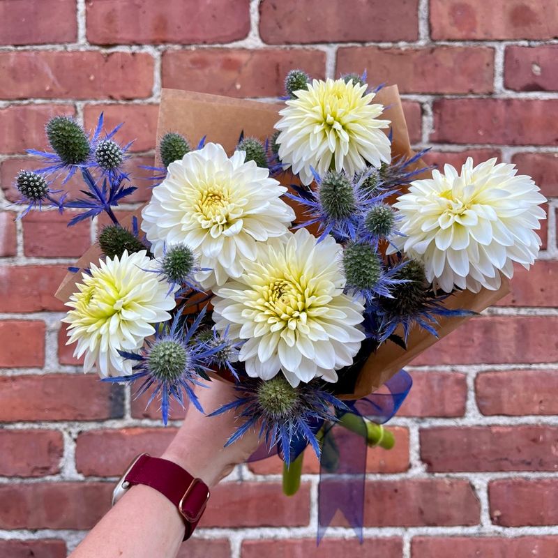 Dahlia Bundle 5-Stems