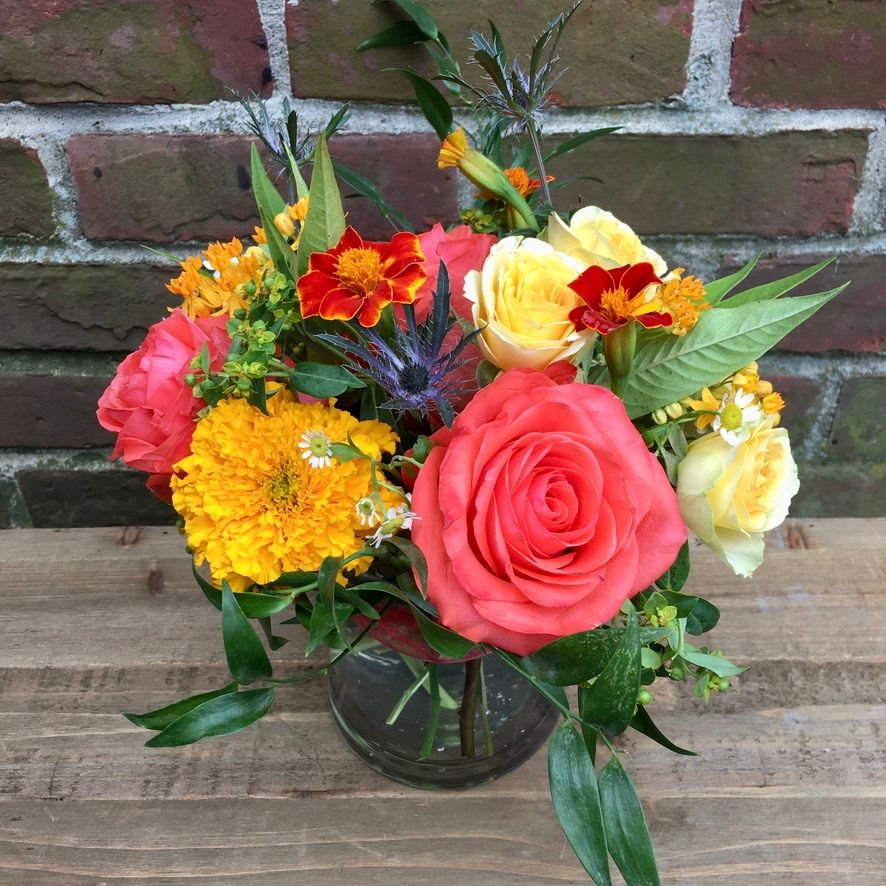 Derby Design Petite Bright