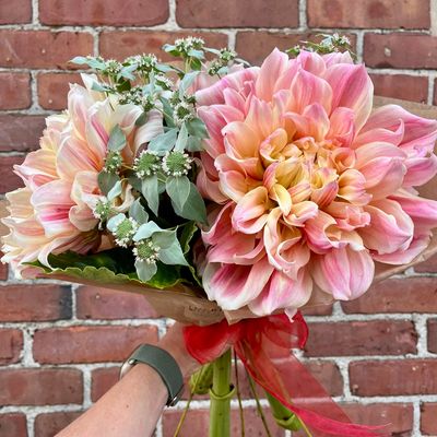 Dinnerplate Dahlia Bundle 5-Stems