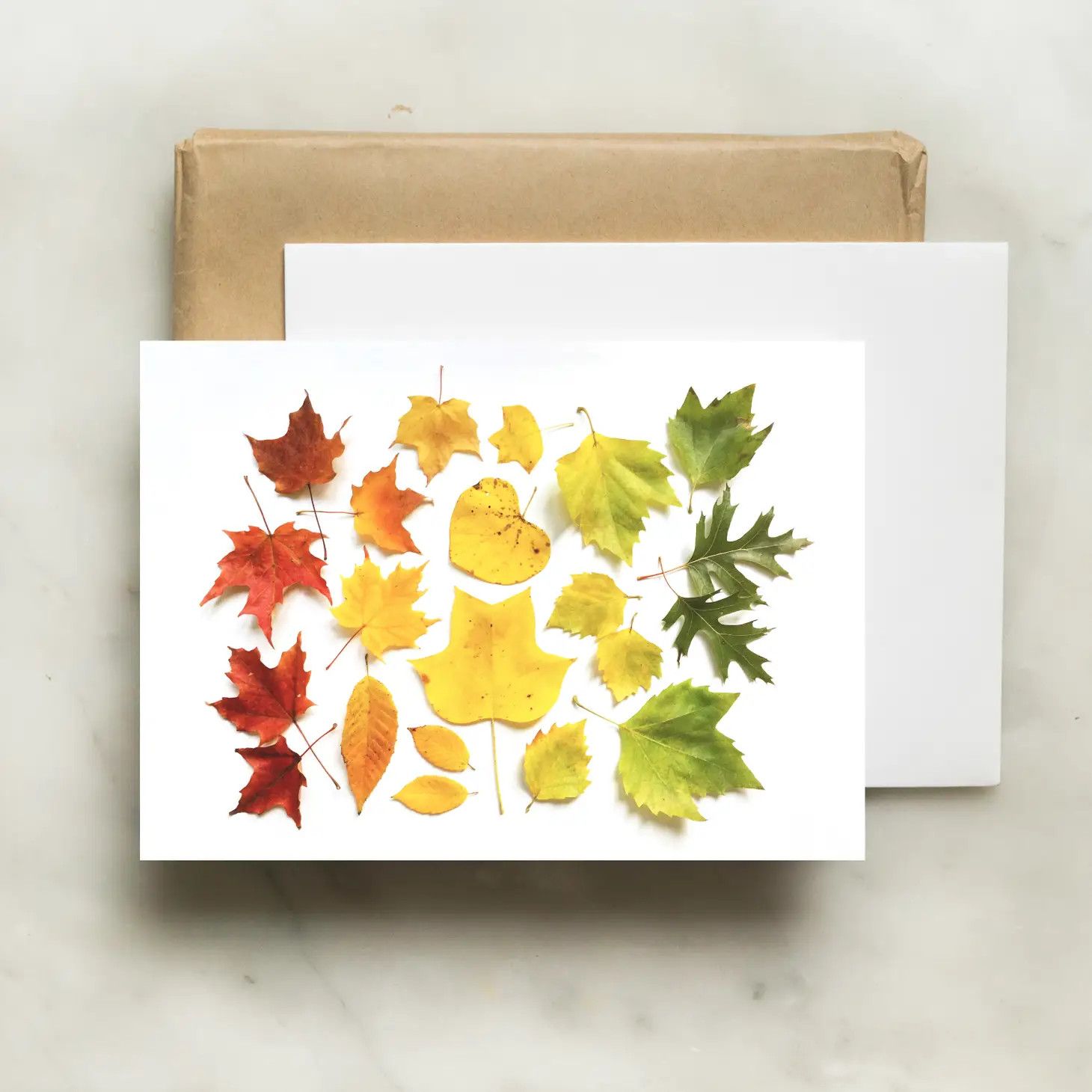 Bottle Branch Autumn Card, Selection: Autumn Leaf Ombre