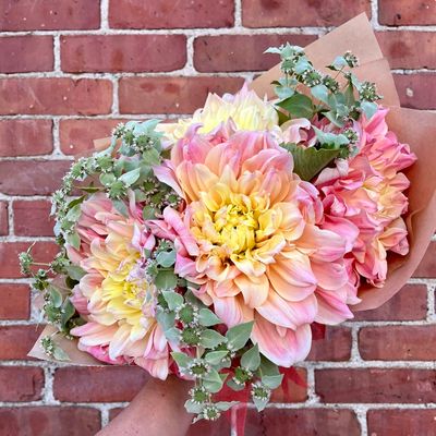 Dinnerplate Dahlia Bundle 5-Stems