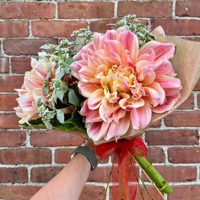 Dinnerplate Dahlia Bundle 5-Stems