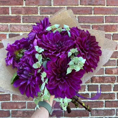 Dahlia Bundle 10-Stems
