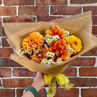 Dahlia Bundle 5-Stems