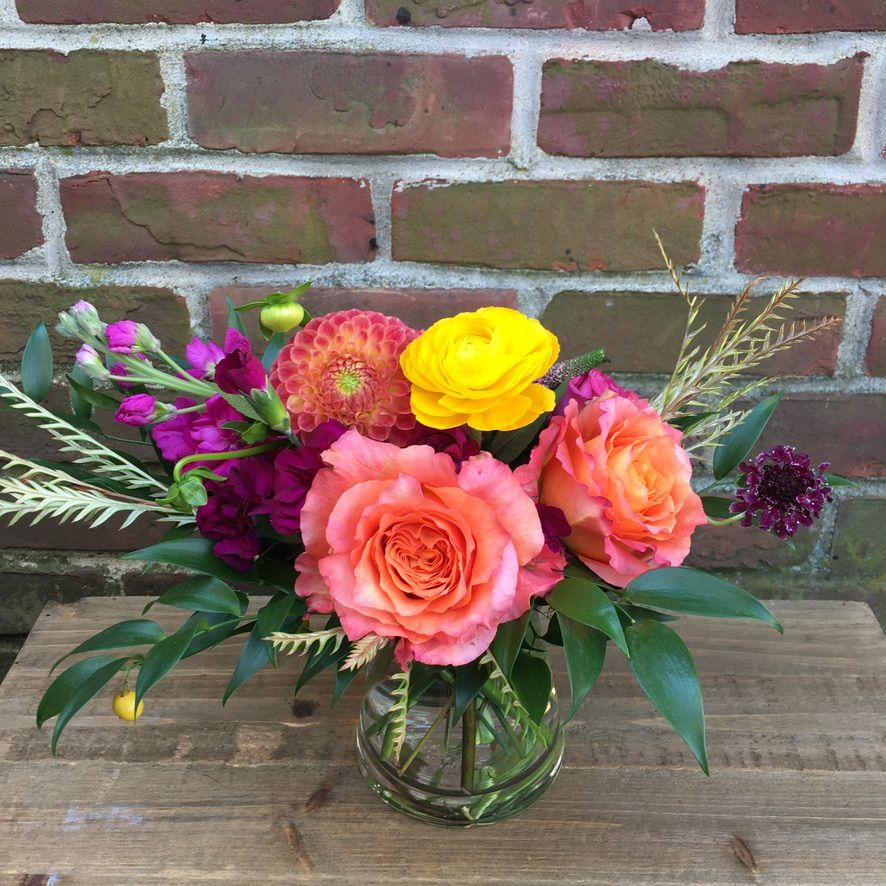 Derby Design Petite Bright