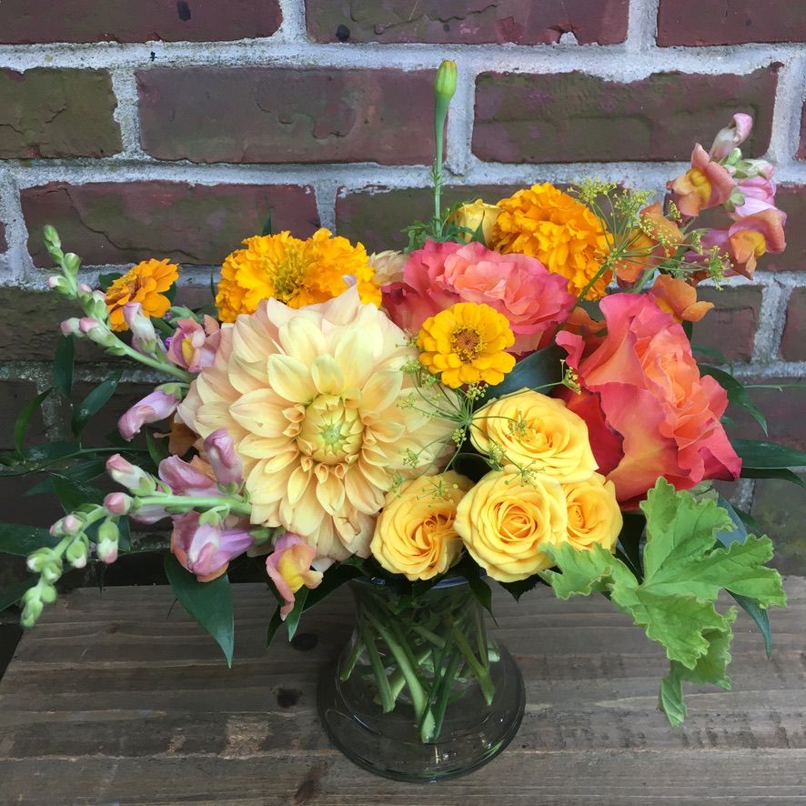 Derby Design Bright