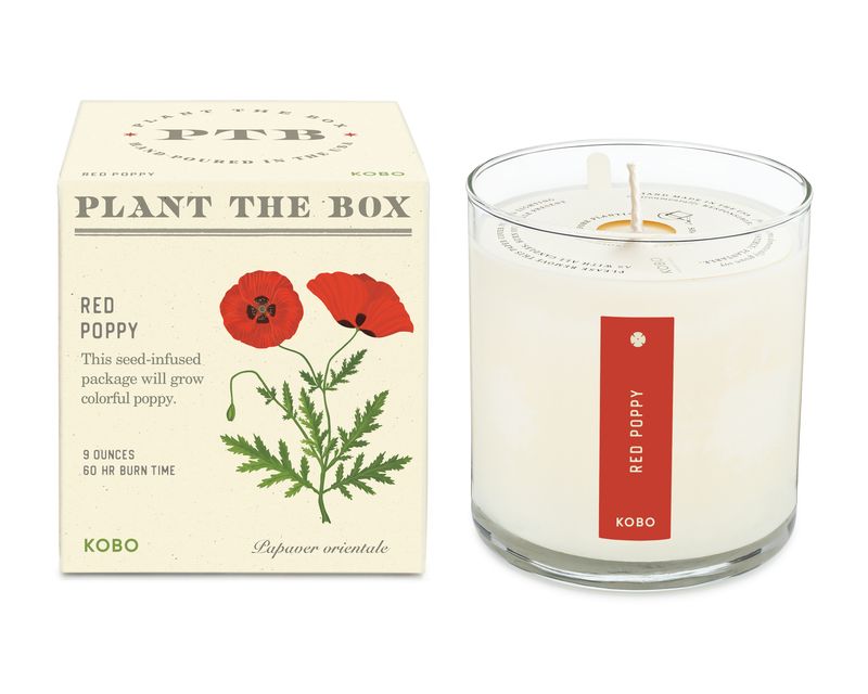 Plant the Box Candle