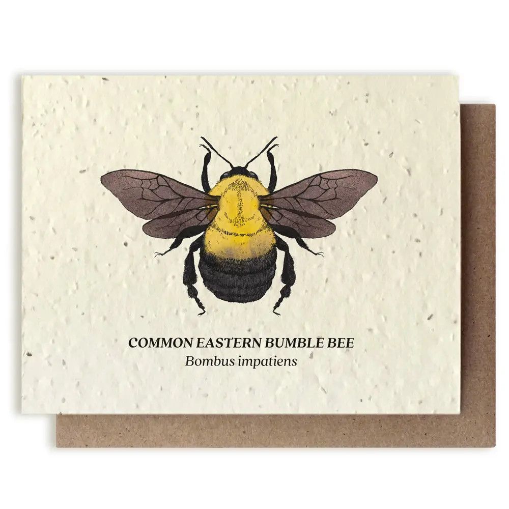Plantable Wildflower Seed Card, Selection: Bumble Bee