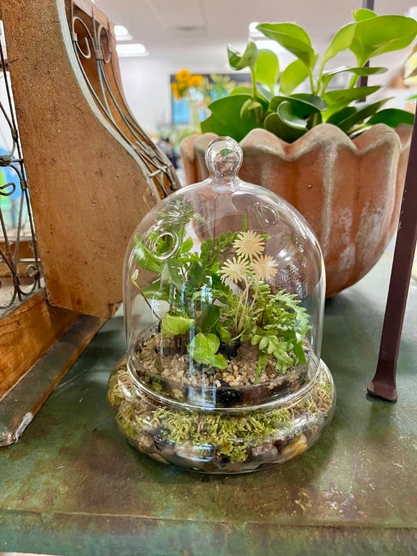 Design Night Newton: November