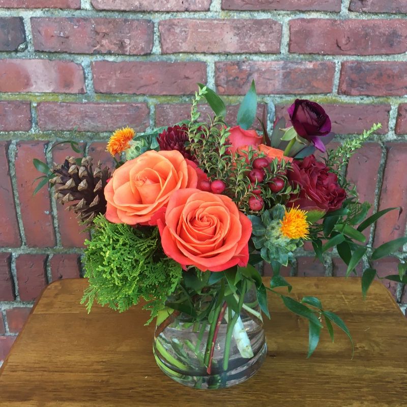 Derby Design Petite Bright