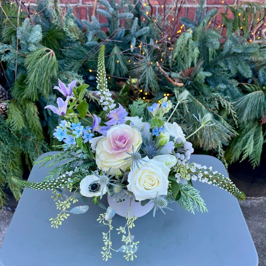 Winter Wonderland, Size: Short