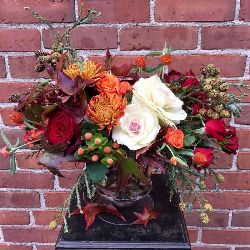 Lush &amp; Lovely Bright