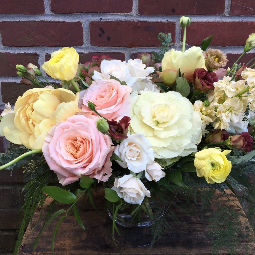 Lush &amp; Lovely Light