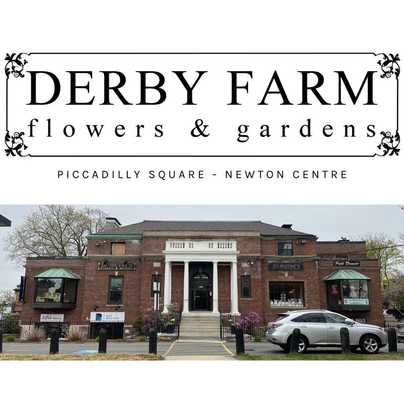 Floral Design Night Newton: Terrarium Workshop Floral Design Night Newton: Terrarium Workshop