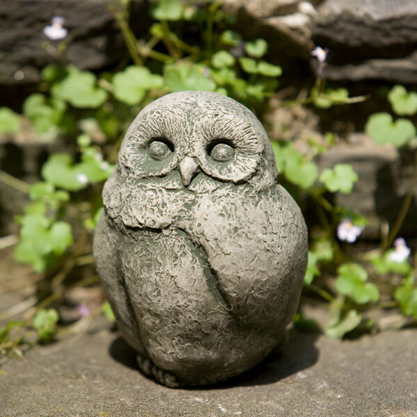 Baby Barn Owl