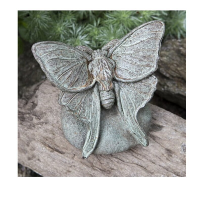 Lunar Moth