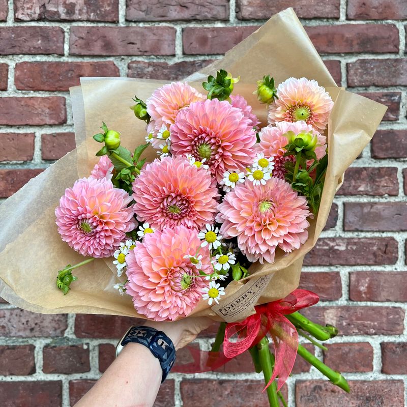 Dahlia Bundle (10-stems)