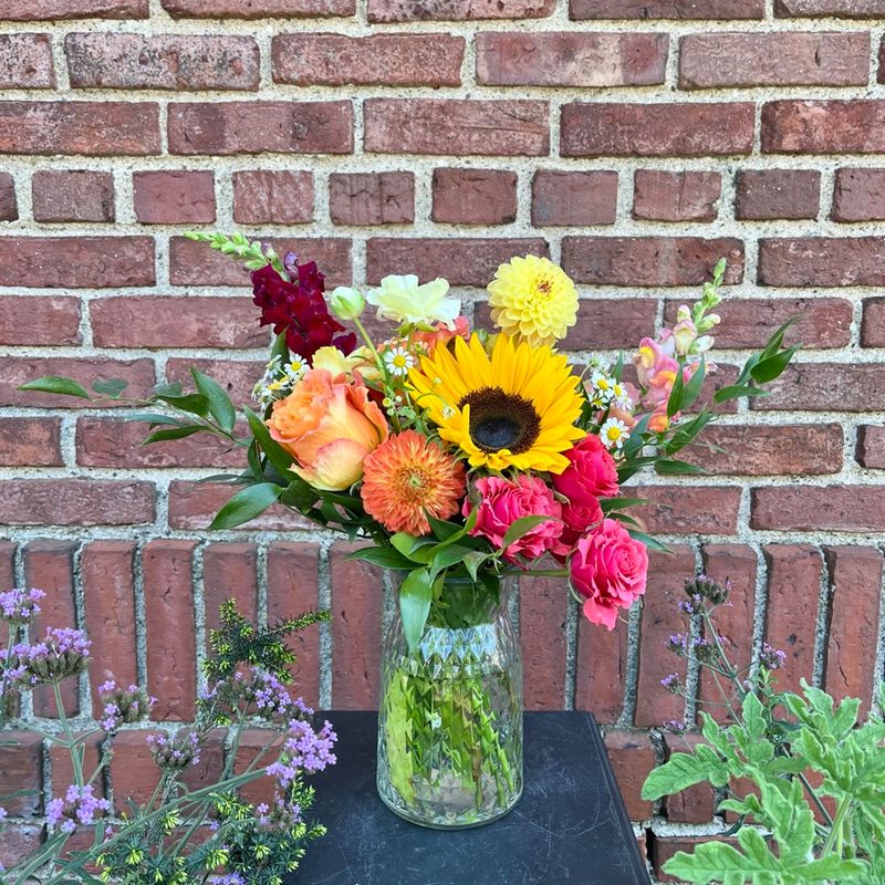 Derby Design Bright