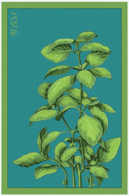 Shido Herb Seeds