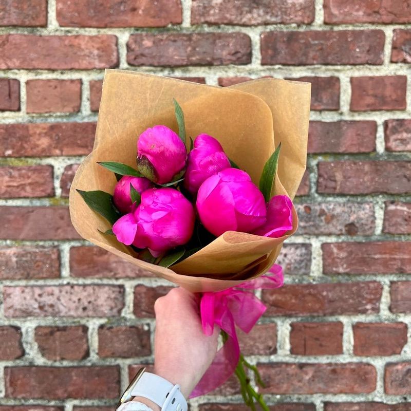 Peony Bundle (5 stems)