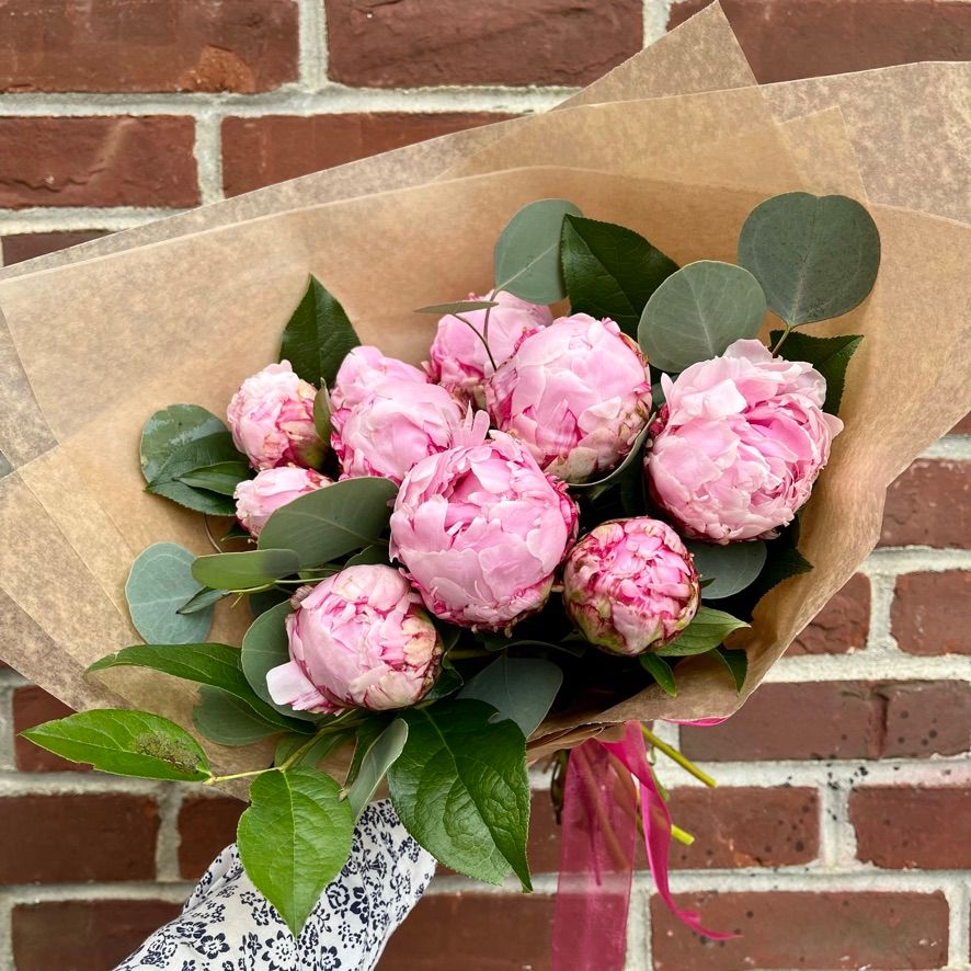 Peony Bundle (10 stems)