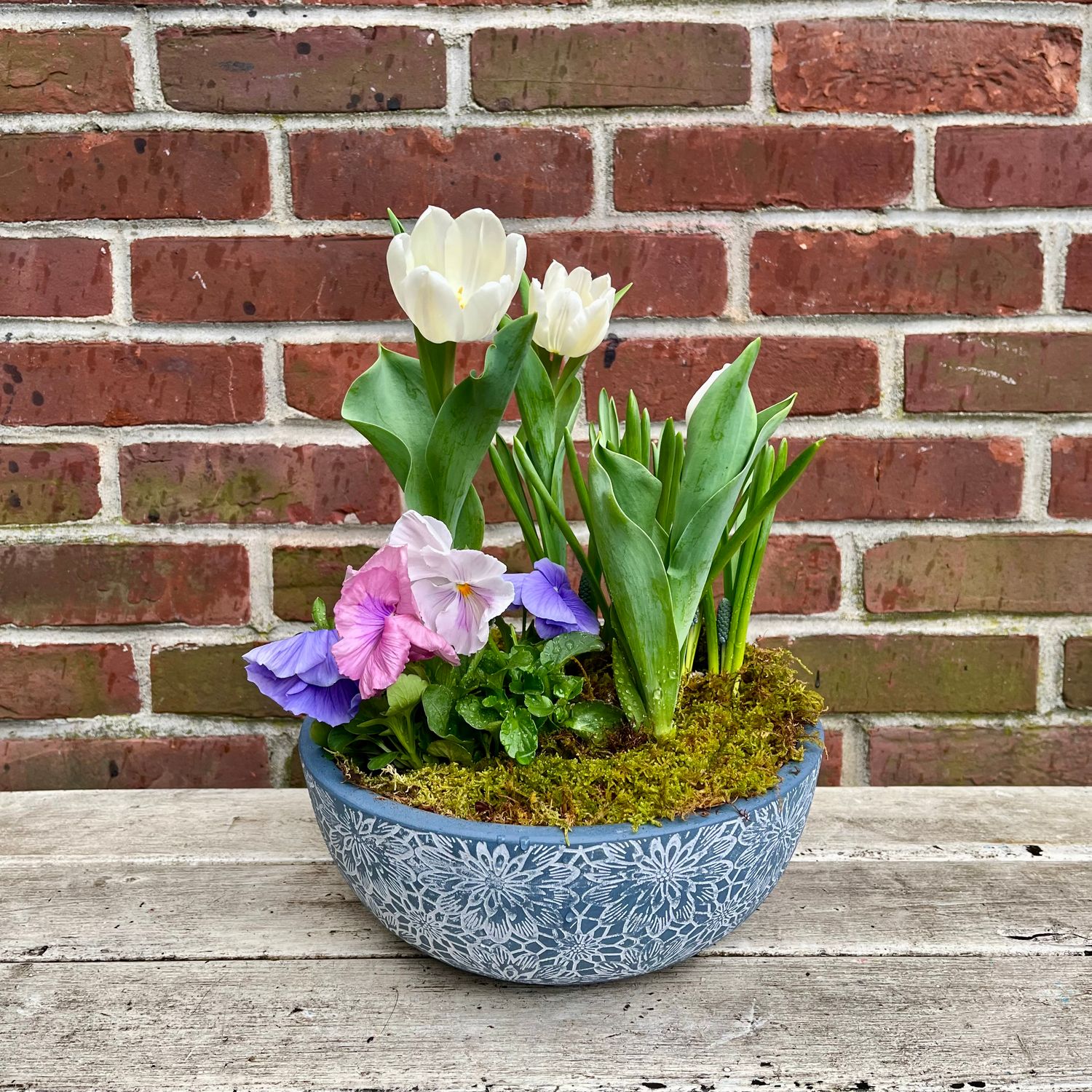 Spring Annuals Planter