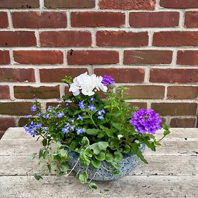Spring Annuals Planter