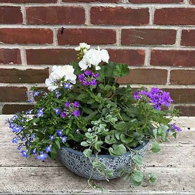 Spring Annuals Planter